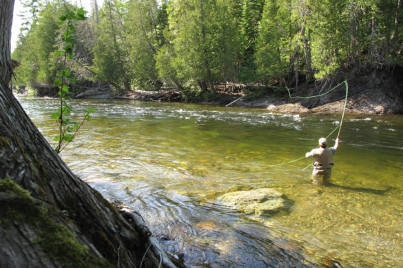 Archives Destination Chic-Chocs