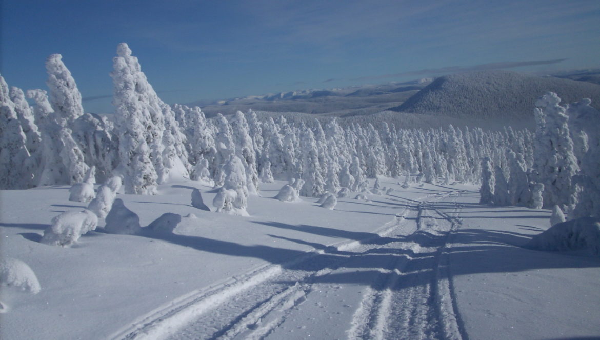 longue_randonnee_hiver (10)