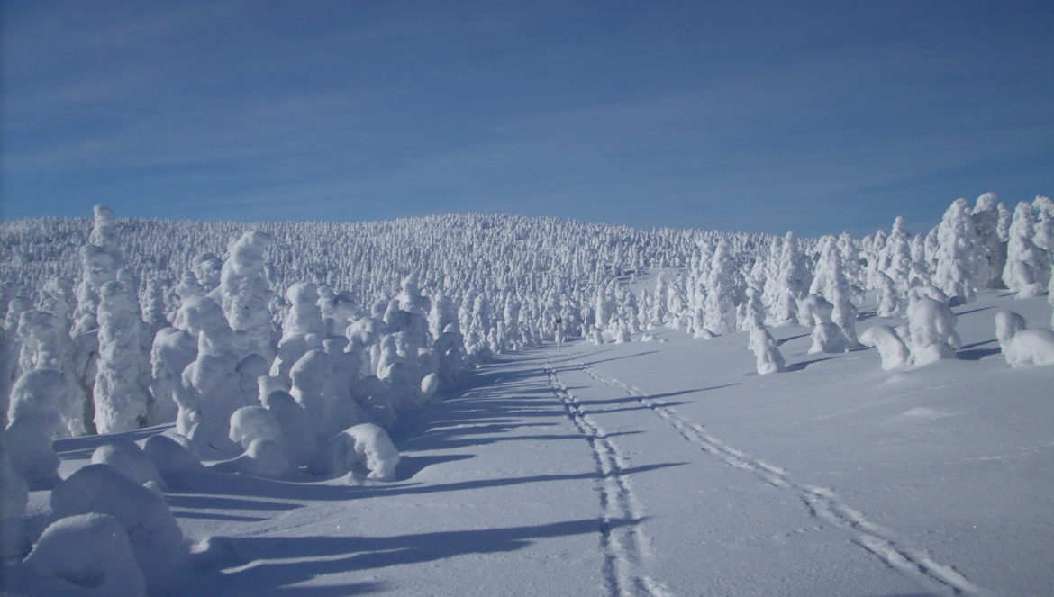 longue_randonnee_hiver (11)