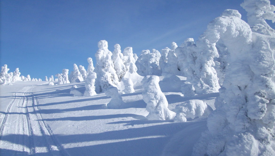 longue_randonnee_hiver (14)