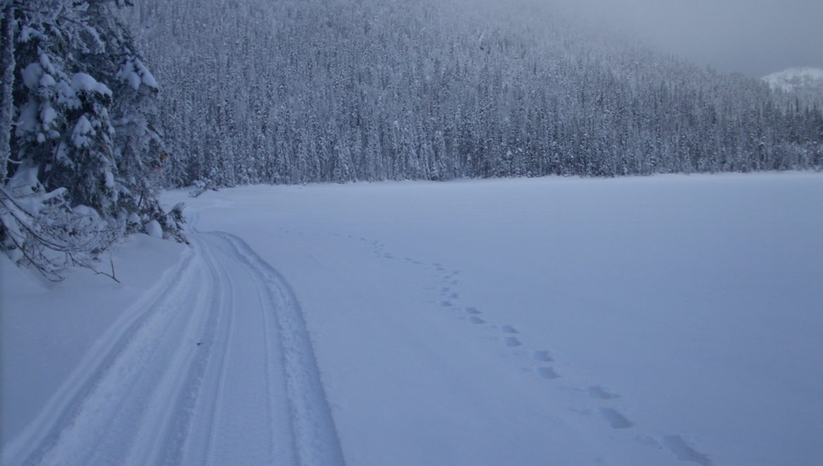 longue_randonnee_hiver (23)