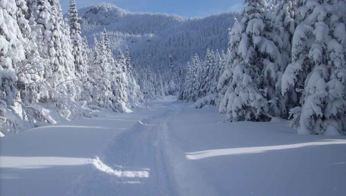 longue_randonnee_hiver (8)